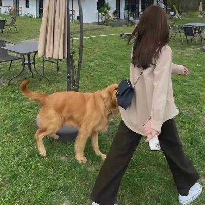 家裂 第三季 海报